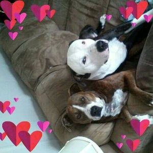 Meet your Posher, Carla